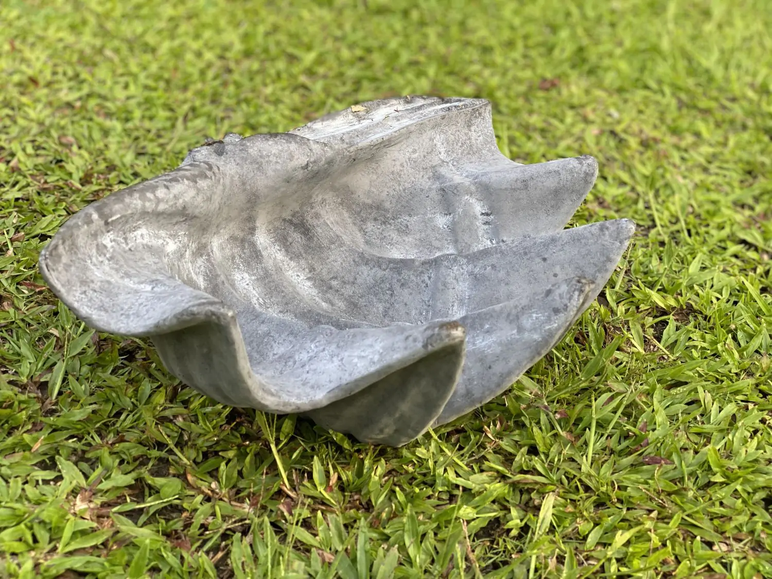  Product image 2 of the product “Marina - Sea shells, 40cm L | cast stone ”